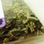 Tea---Altay---Tihaya-polyana---2